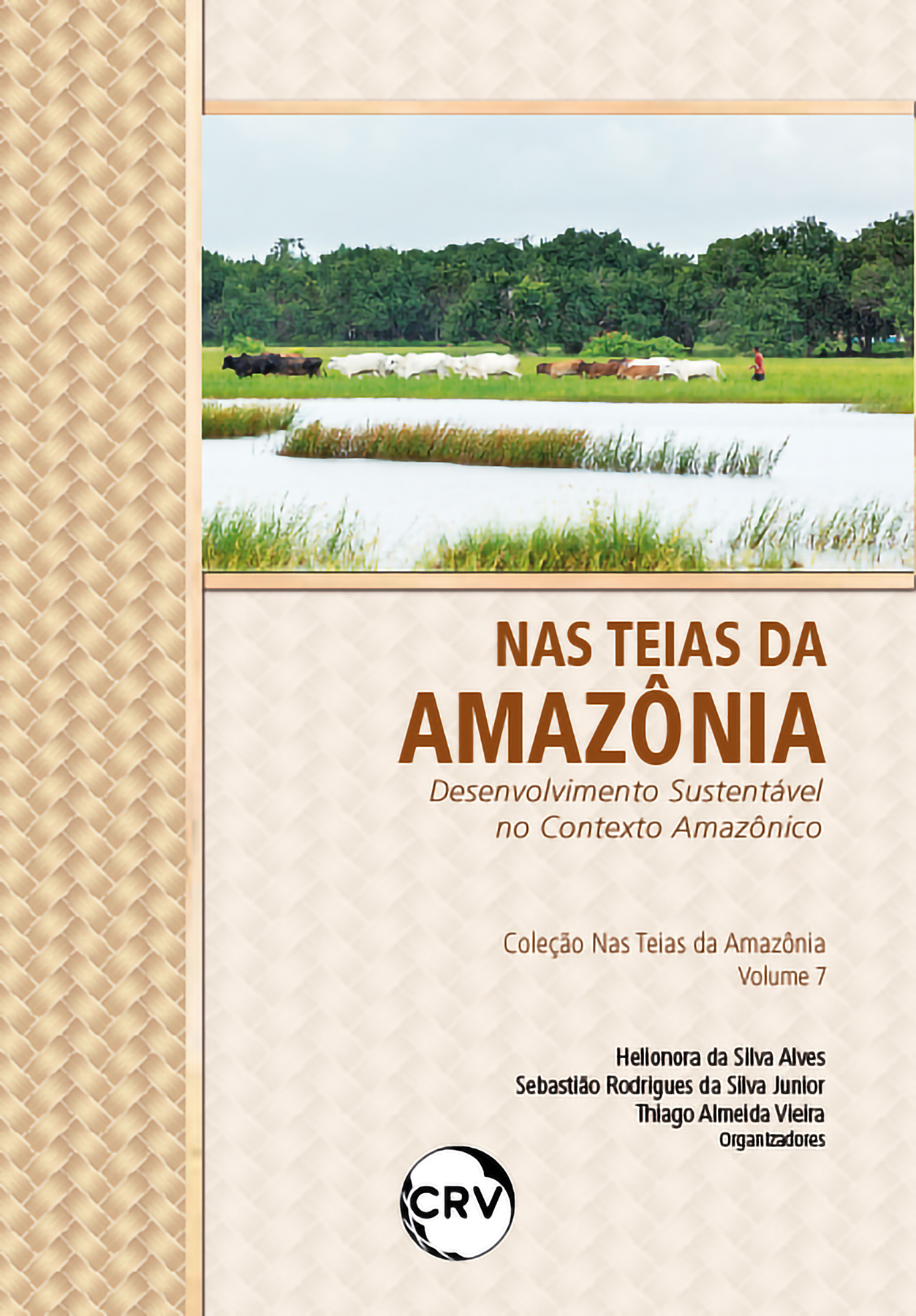 Capa do livro: NAS TEIAS DA AMAZÔNIA:<br>DESENVOLVIMENTO SUSTENTÁVEL NO CONTEXTO AMAZÔNICO