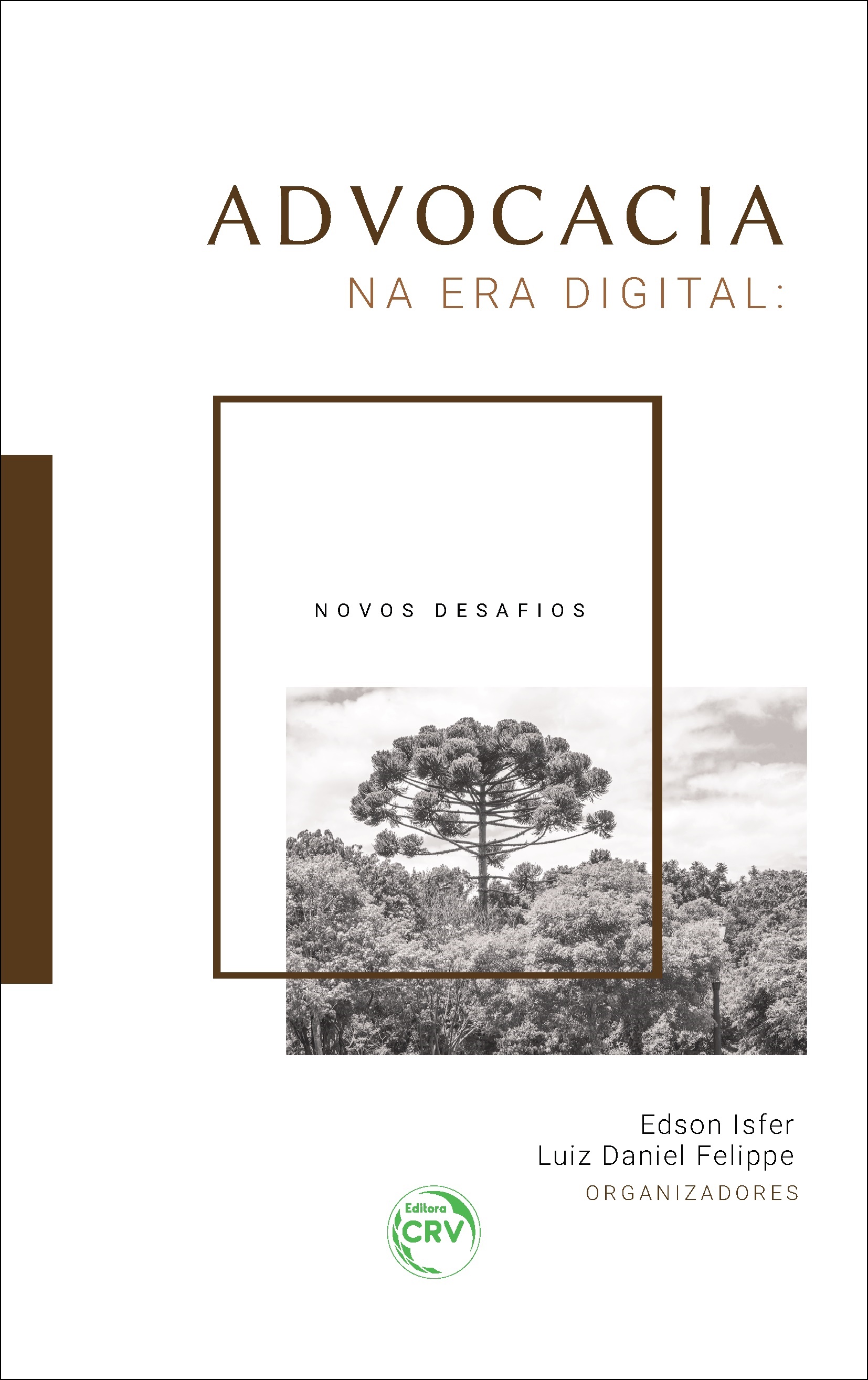 Capa do livro: ADVOCACIA NA ERA DIGITAL: <br>novos desafios