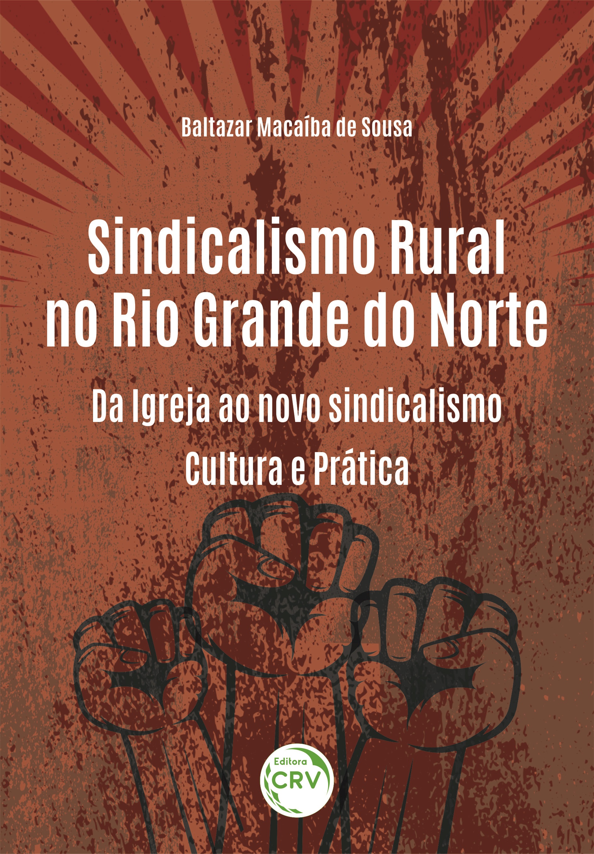 Capa do livro: SINDICALISMO RURAL NO RIO GRANDE DO NORTE:<br> da Igreja ao novo sindicalismo – cultura e prática