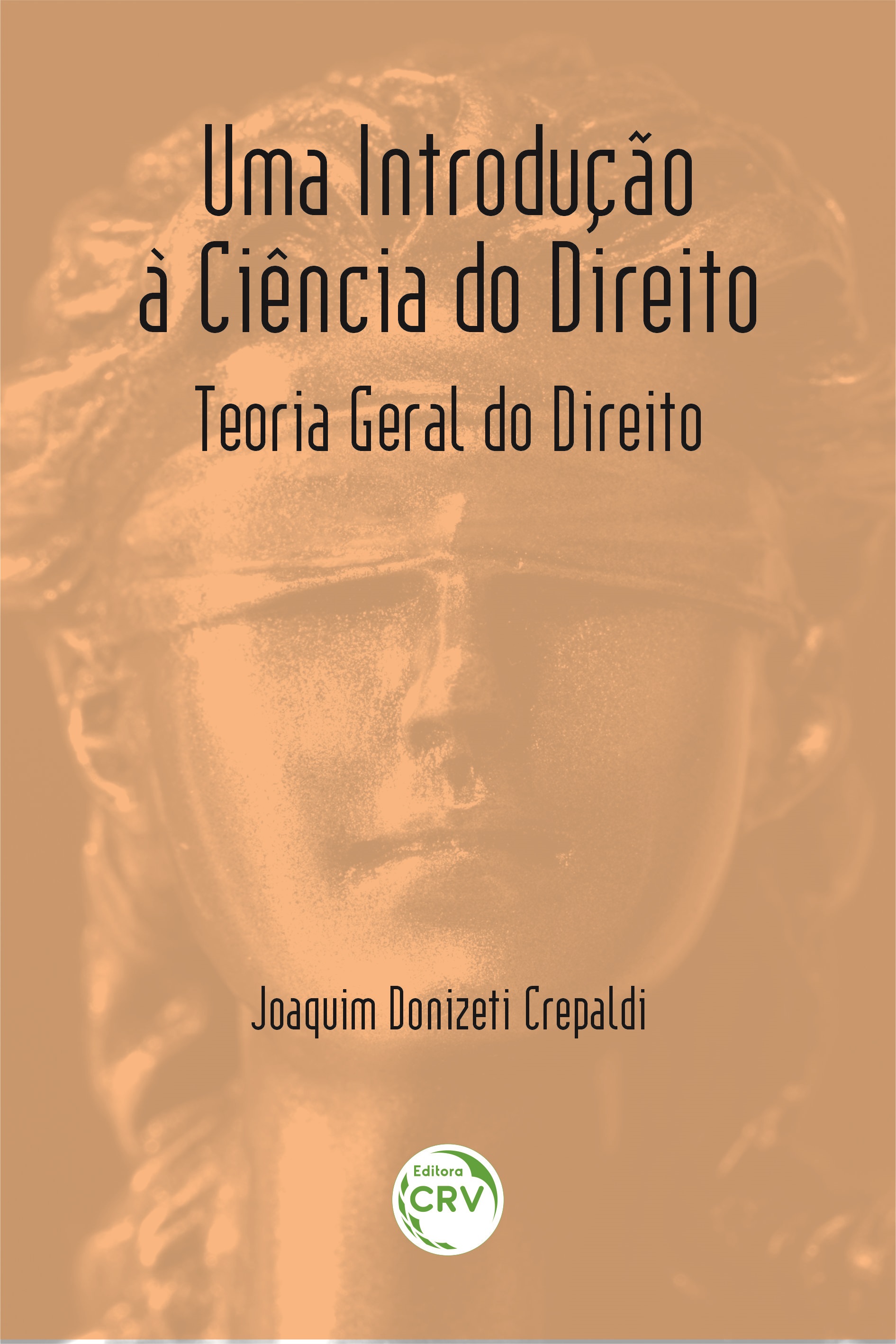 Capa do livro: UMA INTRODUÇÃO À CIÊNCIA DO DIREITO:<br> Teoria Geral do Direito