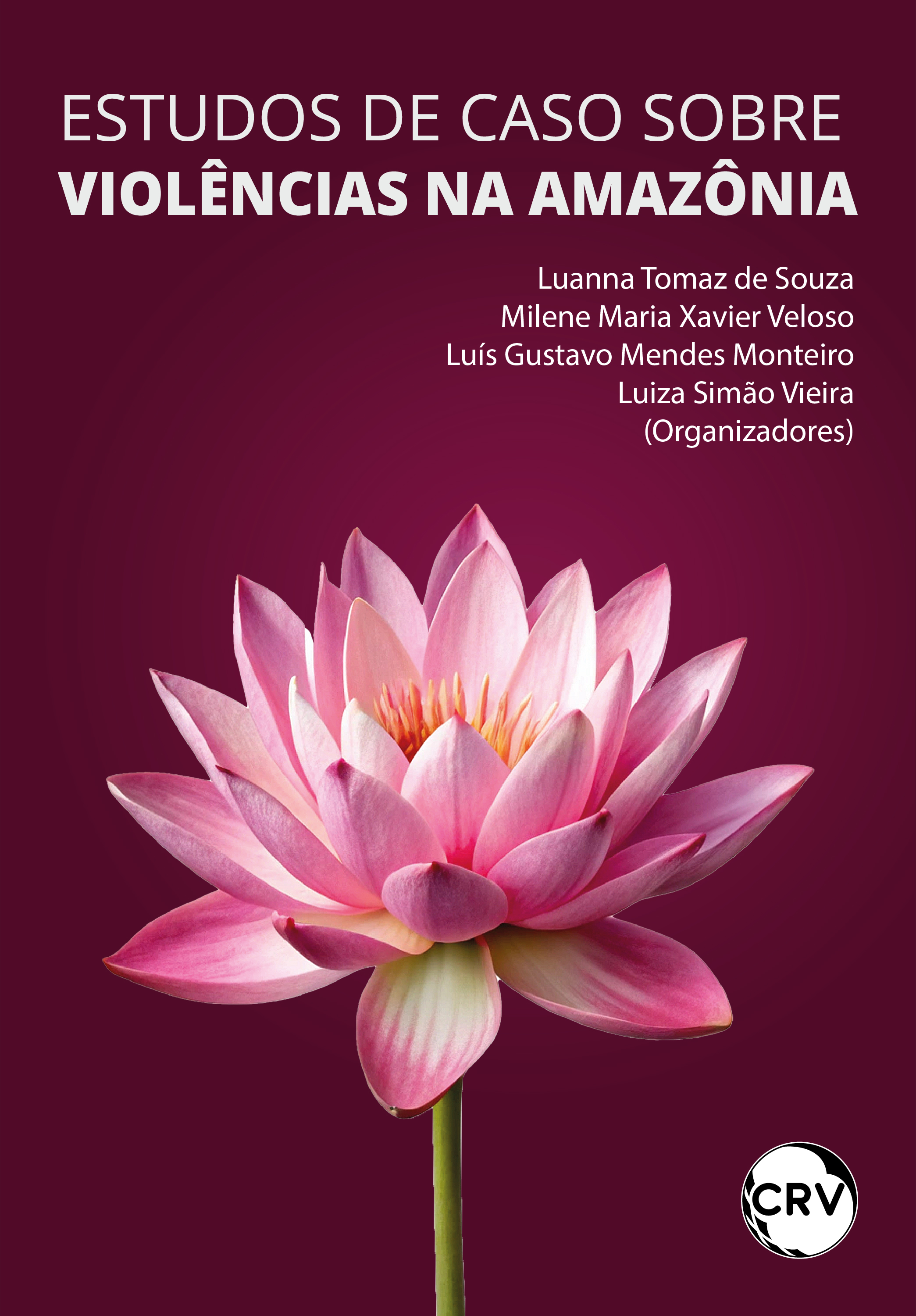 Capa do livro: Estudos de caso sobre violências na Amazônia