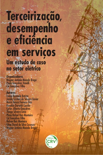 Capa do livro: TERCEIRIZAÇÃO, DESEMPENHO E EFICIÊNCIA EM SERVIÇOS: <br>um estudo de caso no setor elétrico