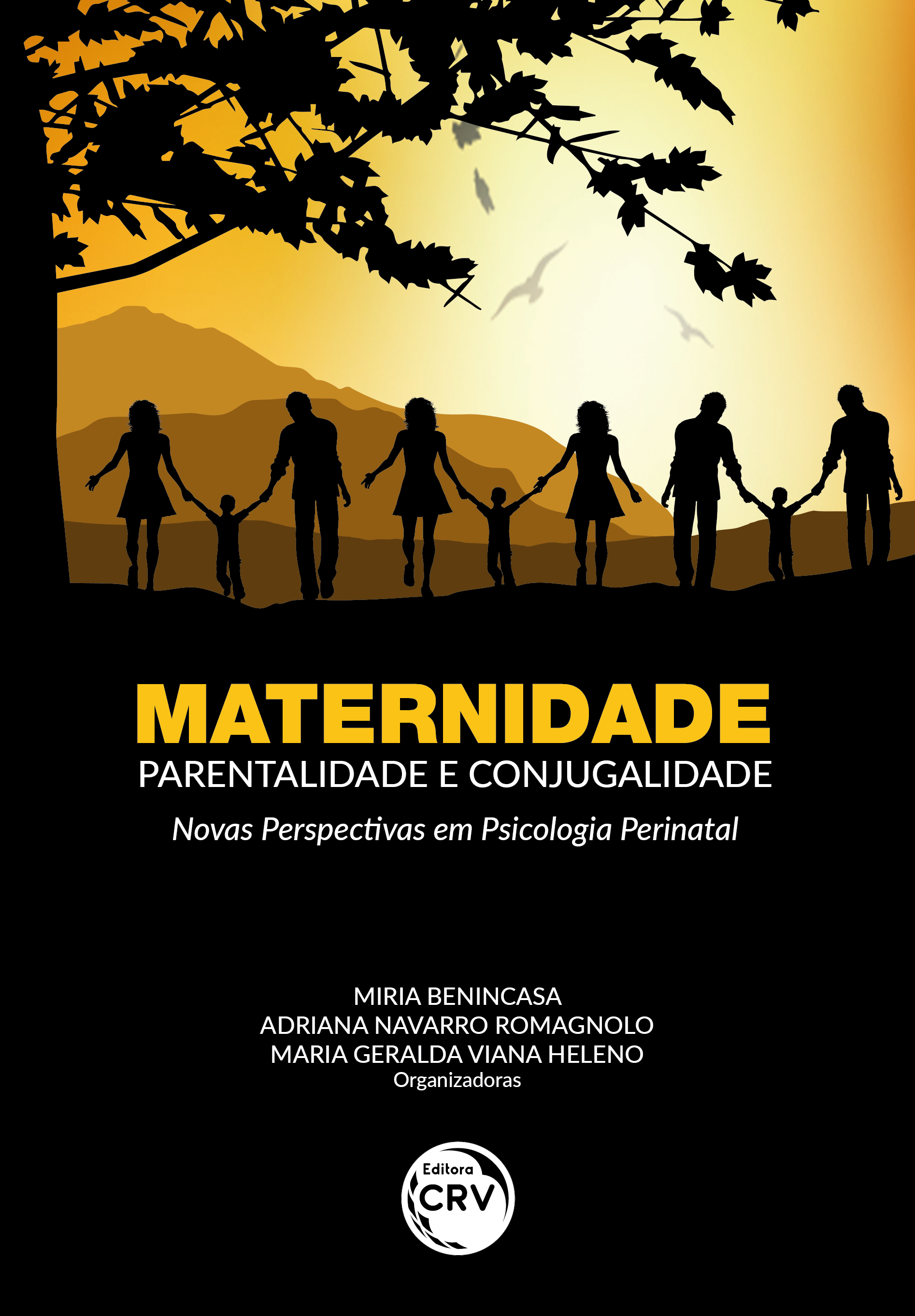 Capa do livro: MATERNIDADE, PARENTALIDADE E CONJUGALIDADE: <br> Novas perspectivas em psicologia perinatal