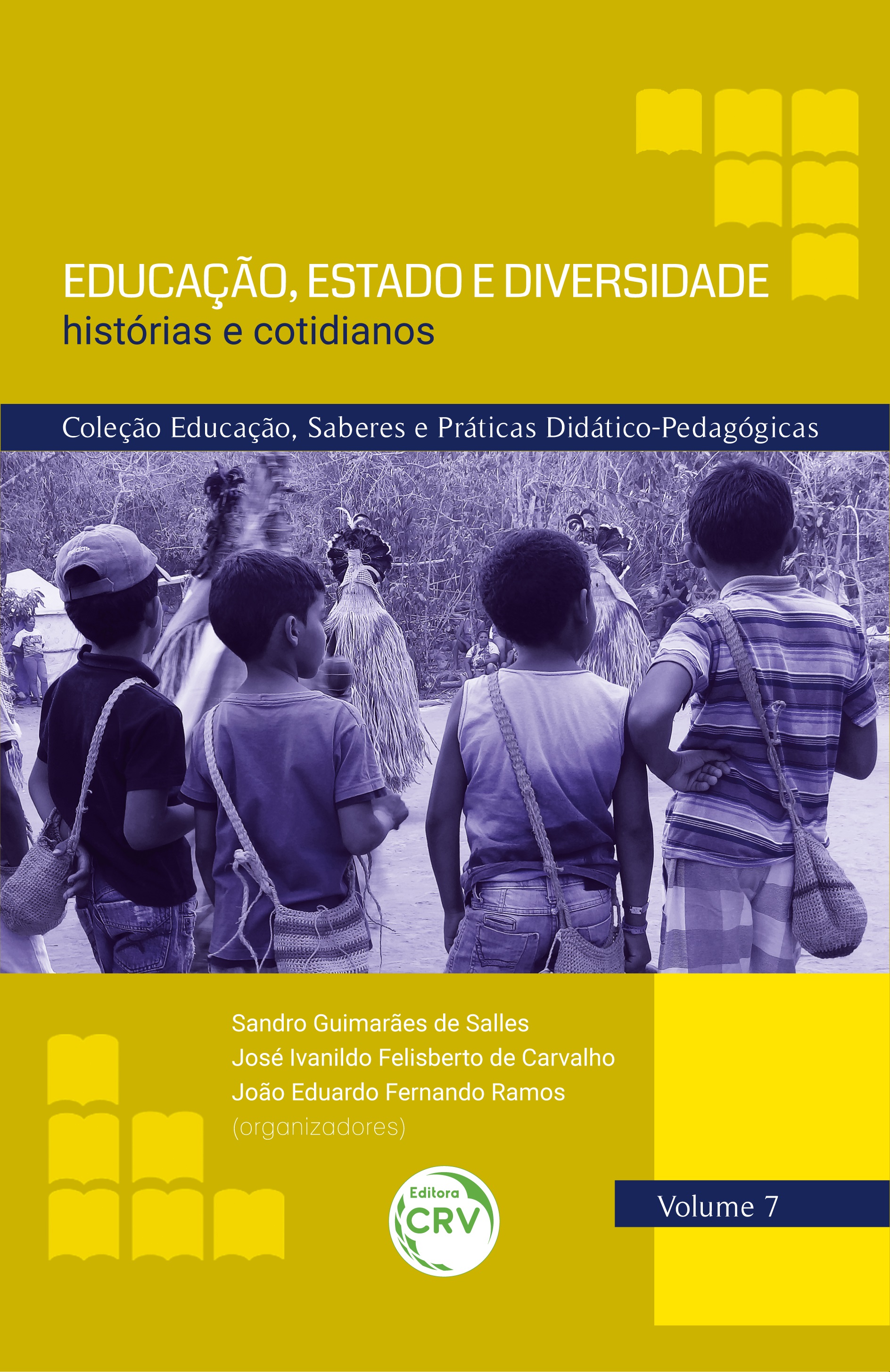 Capa do livro: EDUCAÇÃO, ESTADO E DIVERSIDADE histórias e cotidianos COLEÇÃO EDUCAÇÃO, SABERES E PRÁTICAS DIDÁTICO-PEDAGÓGICAS – VOLUME 7