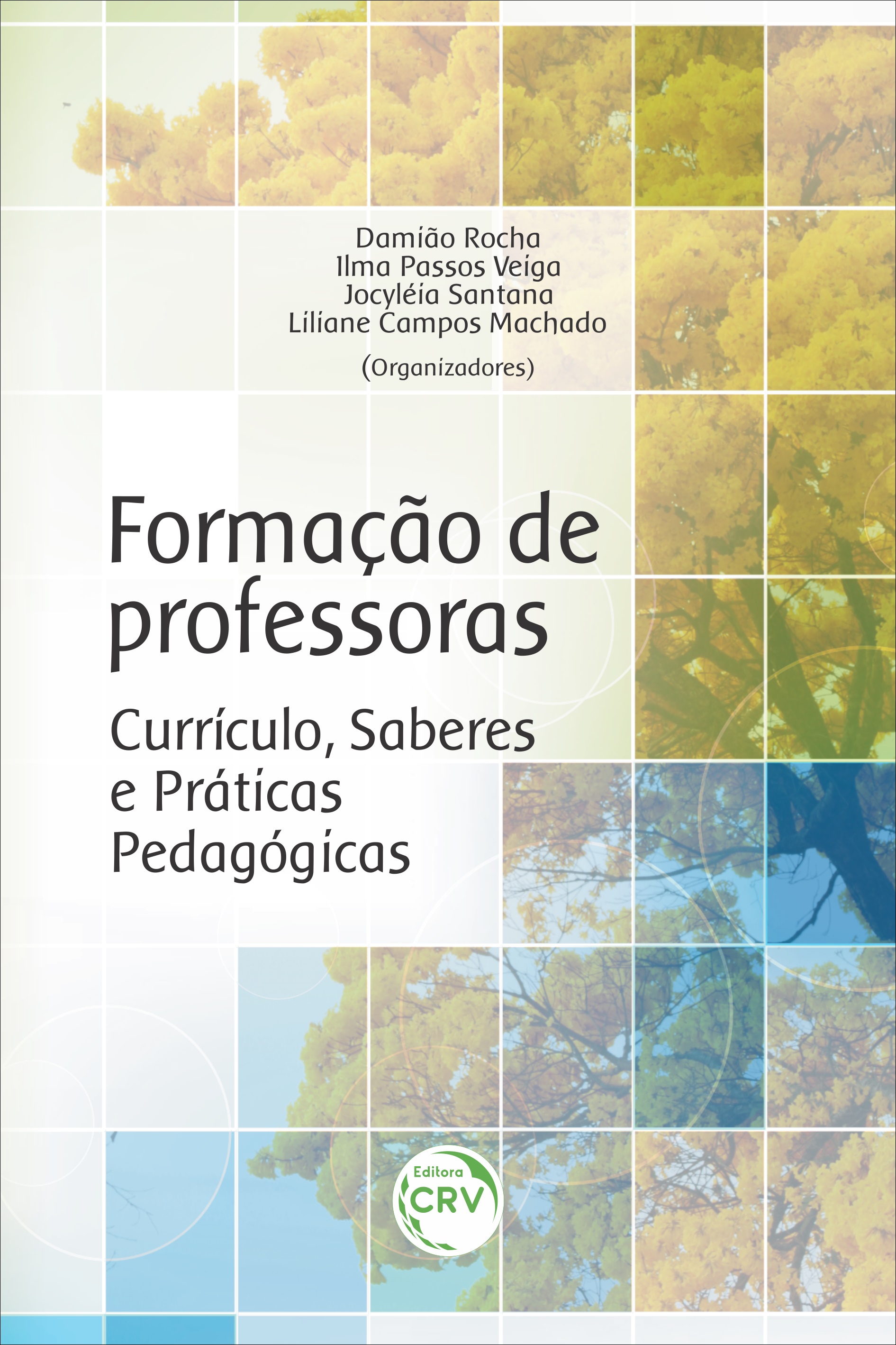Capa do livro: FORMAÇÃO DE PROFESSORAS:<br> currículo, saberes e práticas pedagógicas