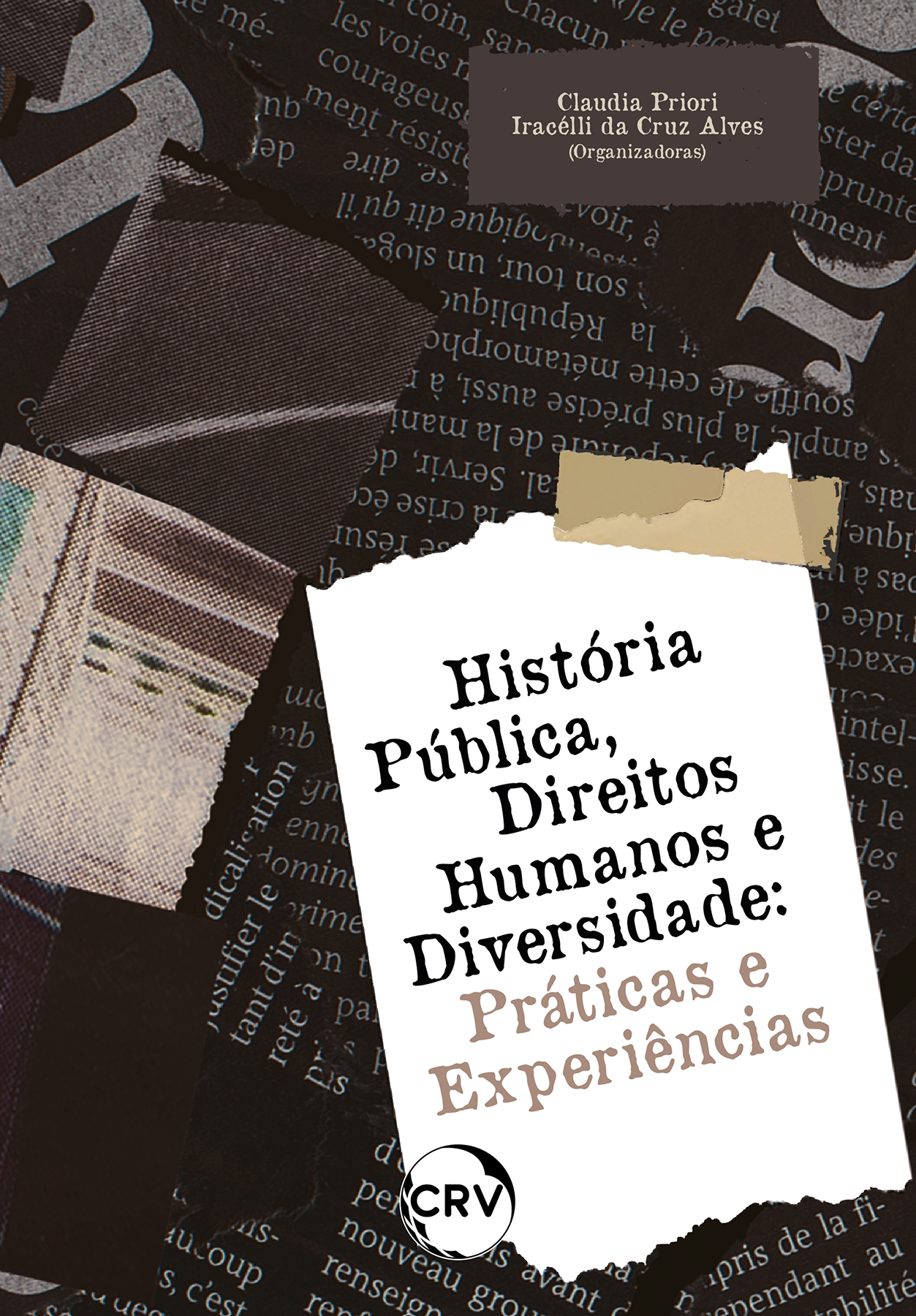 Capa do livro: História pública, direitos humanos e diversidade: <BR>Práticas e experiências