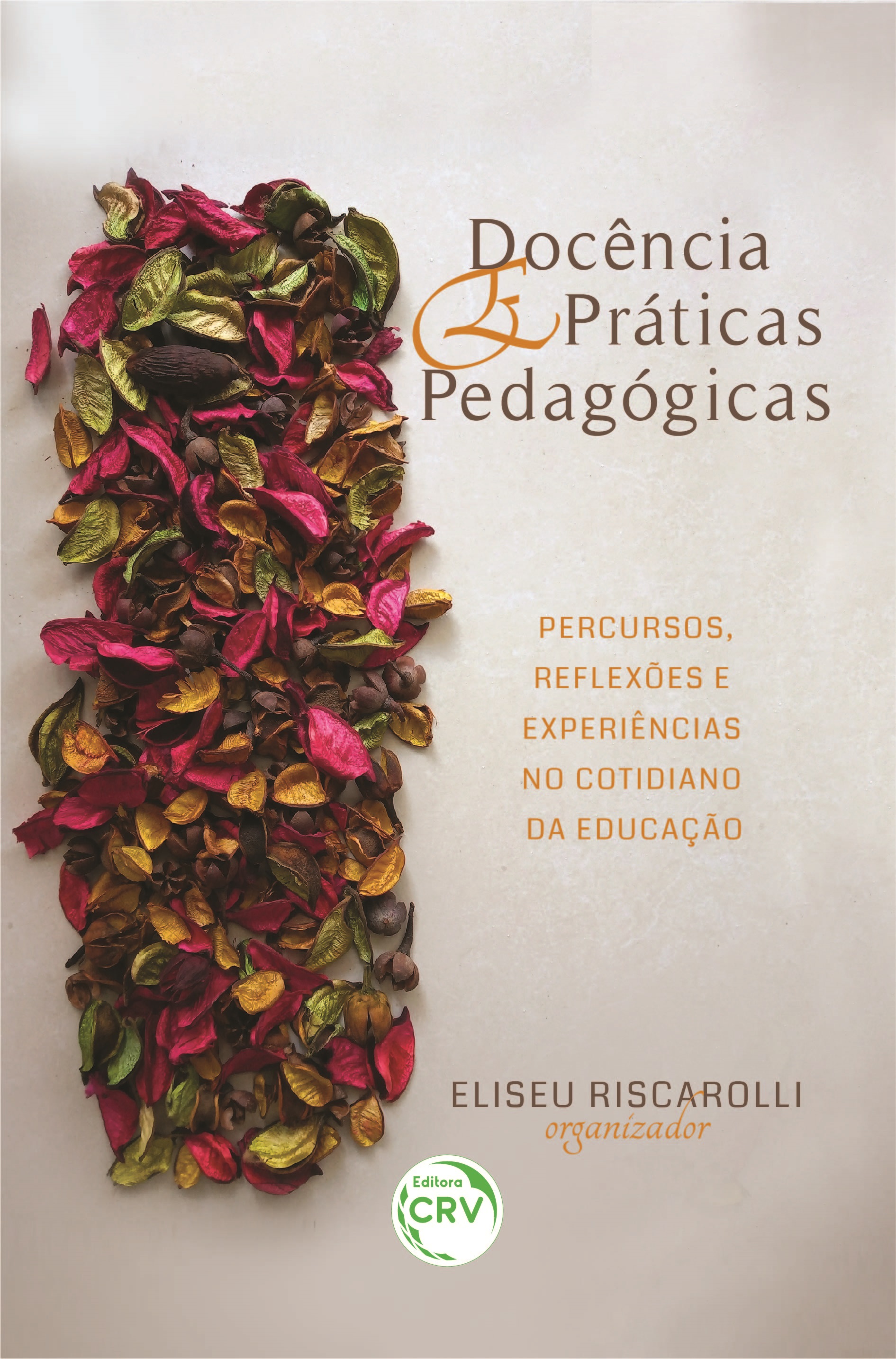 Capa do livro: DOCÊNCIA E PRÁTICAS PEDAGÓGICAS:<br> Percursos, reflexões e experiências no cotidiano da educação