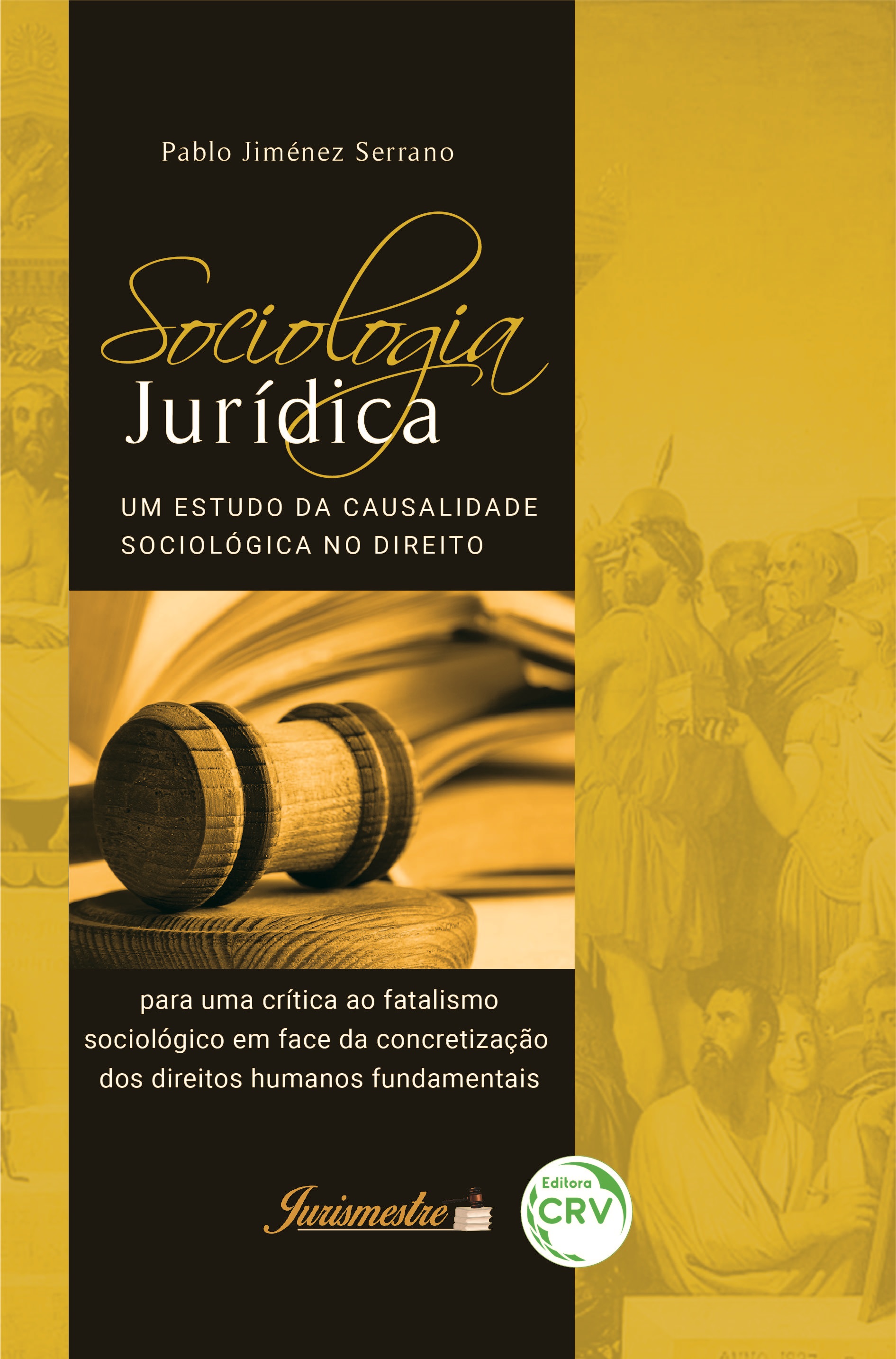 Capa do livro: SOCIOLOGIA JURÍDICA: <br>um estudo da causalidade sociológica no direito para uma crítica ao fatalismo sociológico em face da concretização dos direitos humanos fundamentais