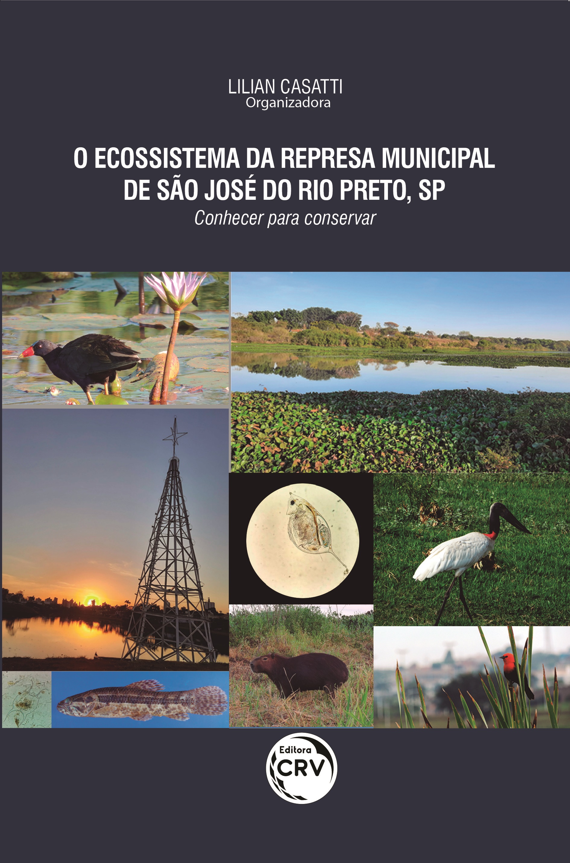 Capa do livro: O ECOSSISTEMA DA REPRESA MUNICIPAL DE SÃO JOSÉ DO RIO PRETO, SP
