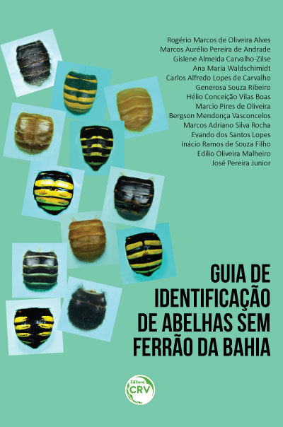 Capa do livro: GUIA DE IDENTIFICAÇÃO DE ABELHAS SEM FERRÃO DA BAHIA