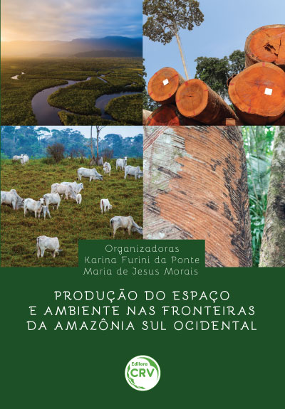 Capa do livro: PRODUÇÃO DO ESPAÇO E AMBIENTE NAS FRONTEIRAS DA AMAZÔNIA SUL OCIDENTAL