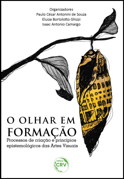 Capa do livro: O OLHAR EM FORMAÇÃO:<br> Processos de criação e princípios epistemológicos das Artes Visuais