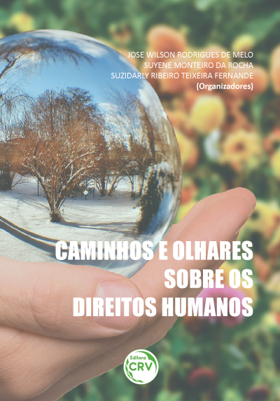 Capa do livro: CAMINHOS E OLHARES SOBRE OS DIREITOS HUMANOS