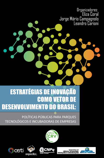 Capa do livro: ESTRATÉGIAS DE INOVAÇÃO COMO VETOR DE DESENVOLVIMENTO DO BRASIL:<br>políticas públicas para parques tecnológicos e incubadoras de empresas