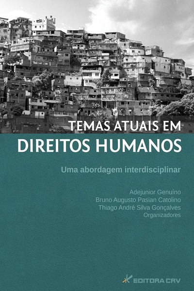 Capa do livro: TEMAS ATUAIS EM DIREITOS HUMANOS:<br>uma abordagem interdisciplinar