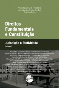 DIREITOS FUNDAMENTAIS E CONSTITUIÇÃO: <br> Jurisdição e Efetividade <br> Volume 2