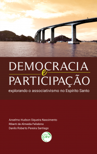 DEMOCRACIA E PARTICIPAÇÃO:<br> explorando o associativismo no Espírito Santo