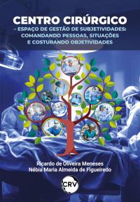 Centro cirúrgico – Espaço de gestão de subjetividades: <BR>Comandando pessoas, situações e costurando objetividades