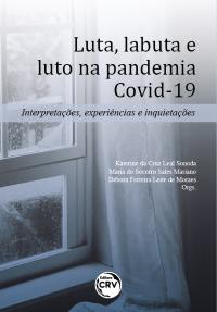 Luta, labuta e luto na pandemia COVID-19: <br> Interpretações, experiências e inquietações