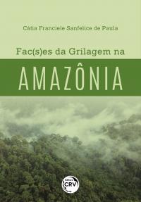 FAC(S)ES DA GRILAGEM NA AMAZÔNIA