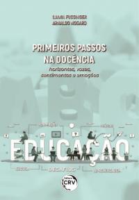 PRIMEIROS PASSOS NA DOCÊNCIA:<br> horizontes, vozes, sentimentos e emoções