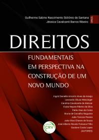 DIREITOS FUNDAMENTAIS EM PERSPECTIVA NA CONSTRUÇÃO DE UM NOVO MUNDO