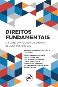 DIREITOS FUNDAMENTAIS: <br>da (des)construção de direitos às garantias cidadãs