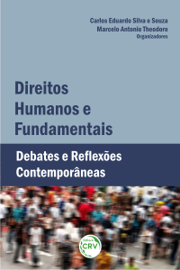 DIREITOS HUMANOS E FUNDAMENTAIS:<br> debates e reﬂexões contemporâneas