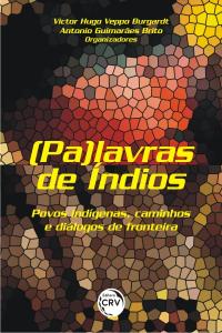 (PA)LAVRAS DE ÍNDIOS: <br>povos indígenas, caminhos e diálogos de fronteira