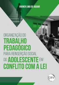 Organização do trabalho pedagógico para reinserção social do adolescente em conflito com a lei