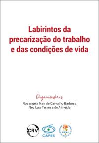 LABIRINTOS DA PRECARIZAÇÃO DO TRABALHO E DAS CONDIÇÕES DE VIDA