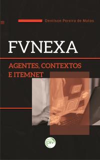 FVNEXA <br> agentes, contextos e ItemNet