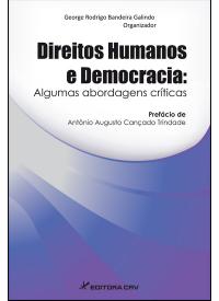 DIREITOS HUMANOS E DEMOCRACIA:<br> algumas abordagens críticas