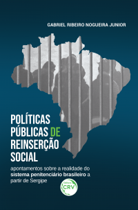 POLÍTICAS PÚBLICAS DE REINSERÇÃO SOCIAL:<br> apontamentos sobre a realidade do sistema penitenciário brasileiro a partir de Sergipe