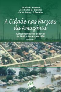 A CIDADE NAS VÁRZEAS DA AMAZÔNIA: <br>a (re)organização espacial de 1890 à década de 1990 <br>Volume 1