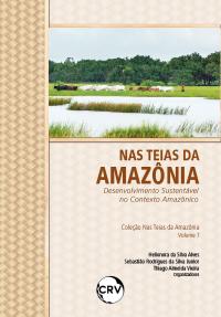 NAS TEIAS DA AMAZÔNIA:<br>DESENVOLVIMENTO SUSTENTÁVEL NO CONTEXTO AMAZÔNICO
