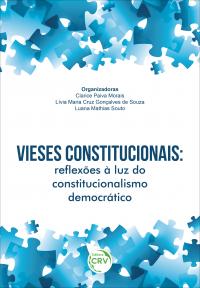 VIESES CONSTITUCIONAIS: <br>reflexões à luz do constitucionalismo democrático