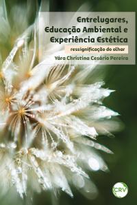 Entrelugares, educação ambiental e experiência estética: <br>Ressignificação do olhar