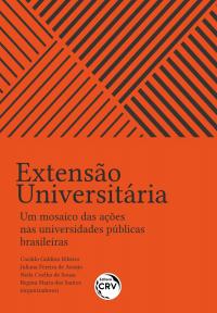 EXTENSÃO UNIVERSITÁRIA <BR> um mosaico das ações nas universidades públicas brasileiras
