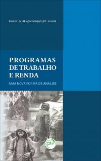 PROGRAMAS DE TRABALHO E RENDA: <br>uma nova forma de análise