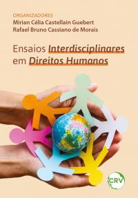 Ensaios interdisciplinares em direitos humanos