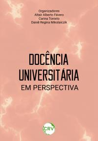 Docência universitária em perspectiva
