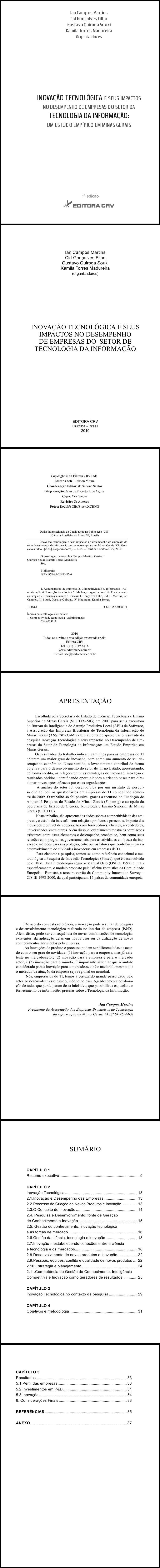 INOVAÇÃO TECNOLÓGICA E SEUS IMPACTOS NO DESEMPENHO DE EMPRESAS DO SETOR DE TECNOLOGIA DA INFORMAÇÃO:<br>um estudo empírico em Minas Gerais