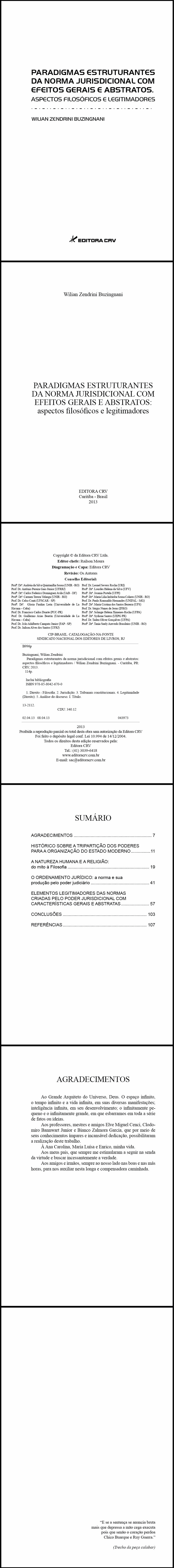 PARADIGMAS ESTRUTURANTES DA NORMA JURISDICIONAL COM EFEITOS GERAIS E ABSTRATOS.<br> Aspectos filosóficos e legitimadores