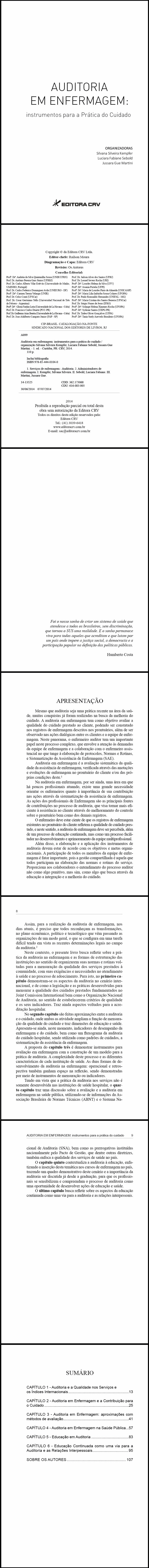 AUDITORIA EM ENFERMAGEM:<BR> instrumentos para a Prática do Cuidado