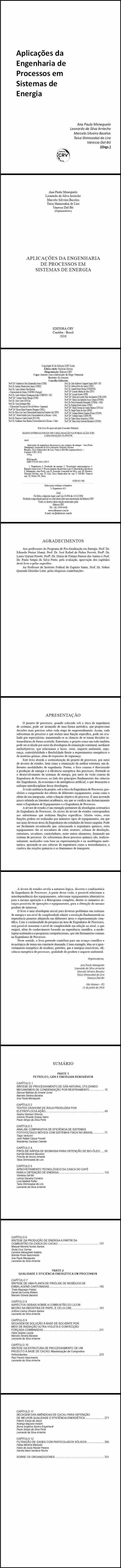 APLICAÇÕES DA ENGENHARIA DE PROCESSOS EM SISTEMAS DE ENERGIA