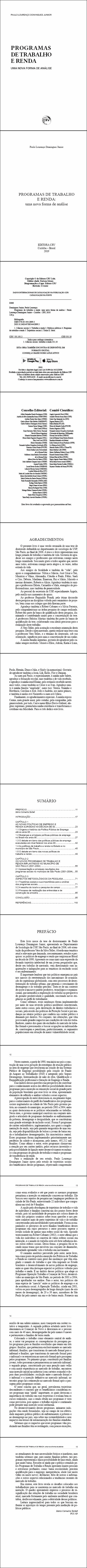 PROGRAMAS DE TRABALHO E RENDA: <br>uma nova forma de análise