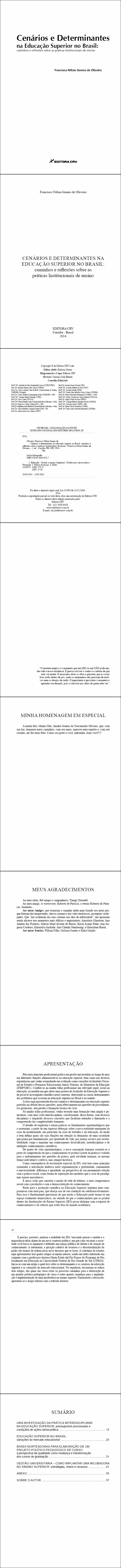 CENÁRIOS E DETERMINANTES NA EDUCAÇÃO SUPERIOR NO BRASIL:<BR> caminhos e reflexões sobre as práticas Institucionais de ensino