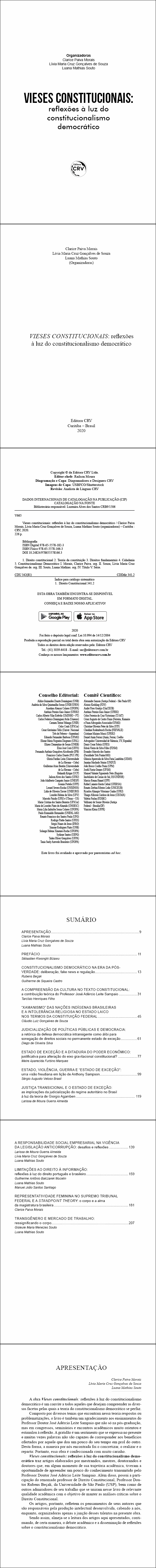 VIESES CONSTITUCIONAIS: <br>reflexões à luz do constitucionalismo democrático