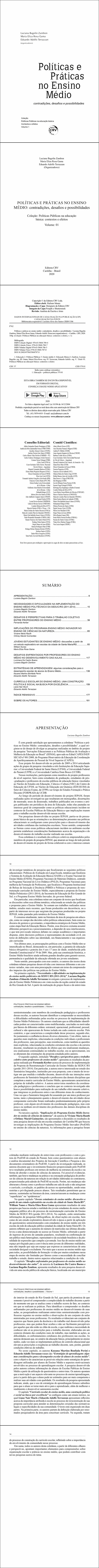 POLÍTICAS E PRÁTICAS NO ENSINO MÉDIO:<br> contradições, desafios e possibilidades <br><br>Coleção Políticas Públicas na educação básica:<br> contextos e efeitos - Volume 01